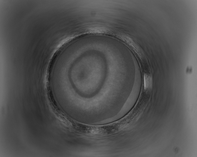 X0000102520579200808081429