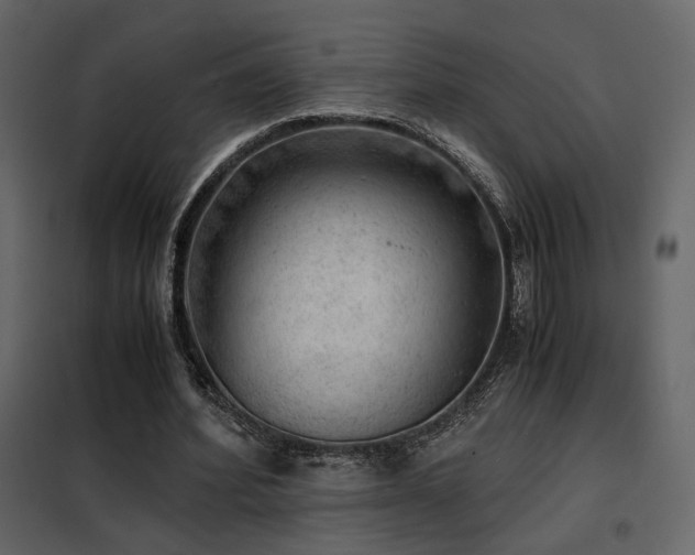 X0000102520580200808081429