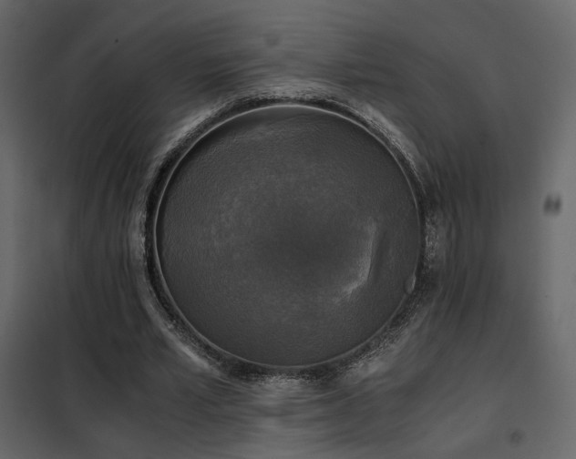 X0000102520581200808081429