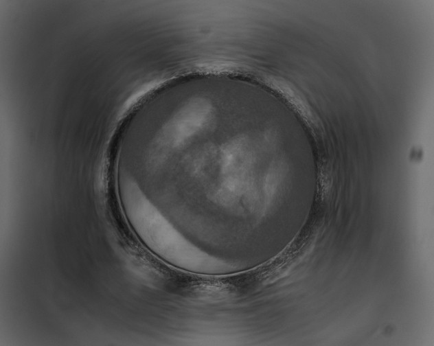 X0000102520583200808081429