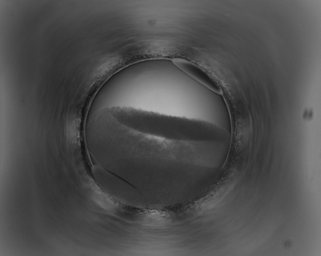 X0000102520585200808081429