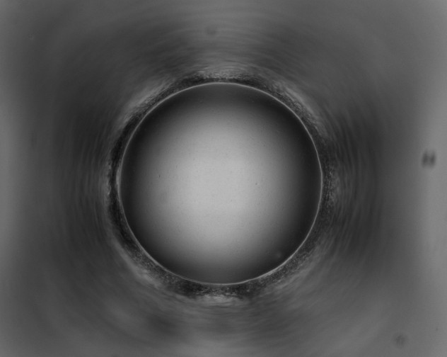 X0000102520586200808081429