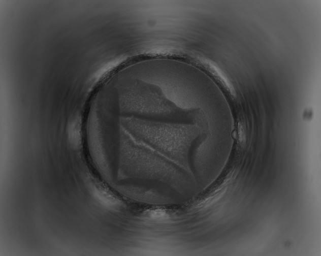 X0000102520588200808081429