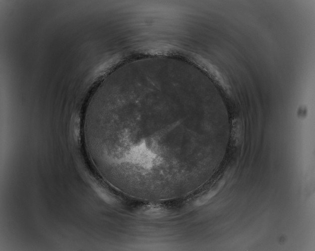 X0000102520589200808081429