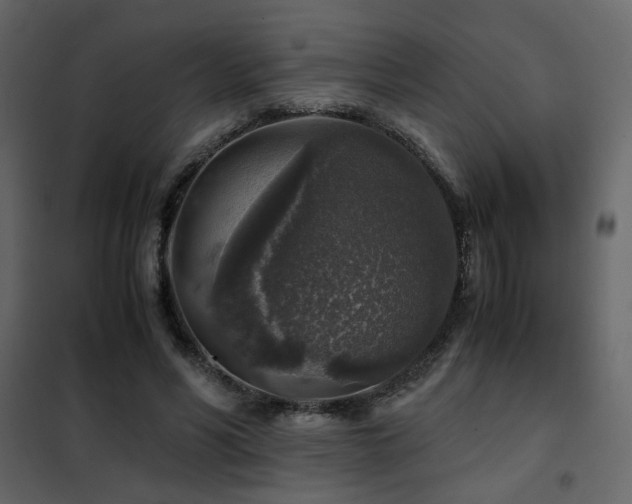 X0000102520590200808081429