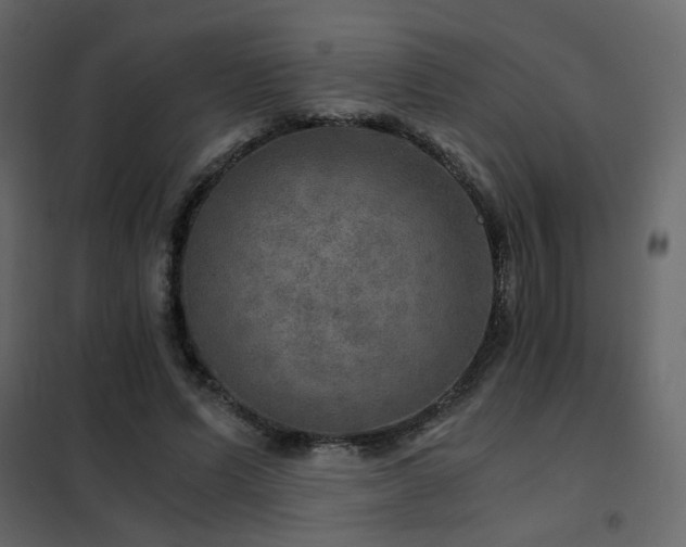 X0000102520591200808081429