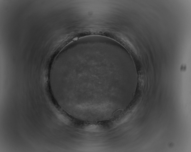 X0000102520593200808081429