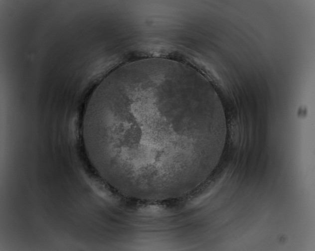 X0000102520594200808081429