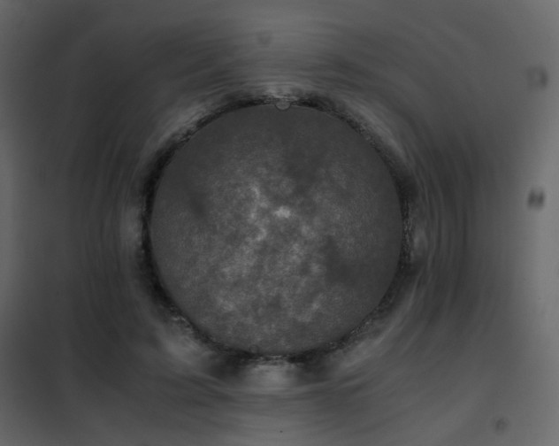 X0000102520595200808081429