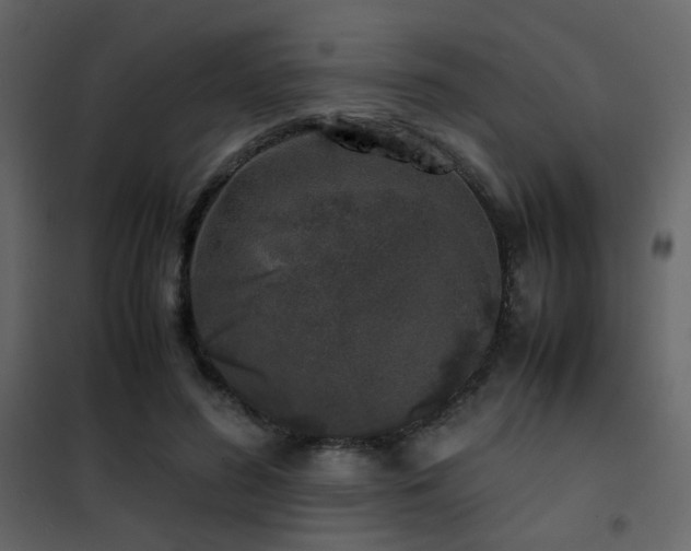 X0000102520596200808081429