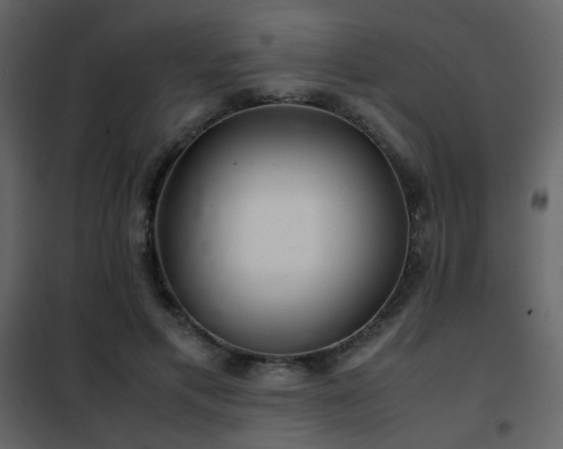 X0000102520597200808081429