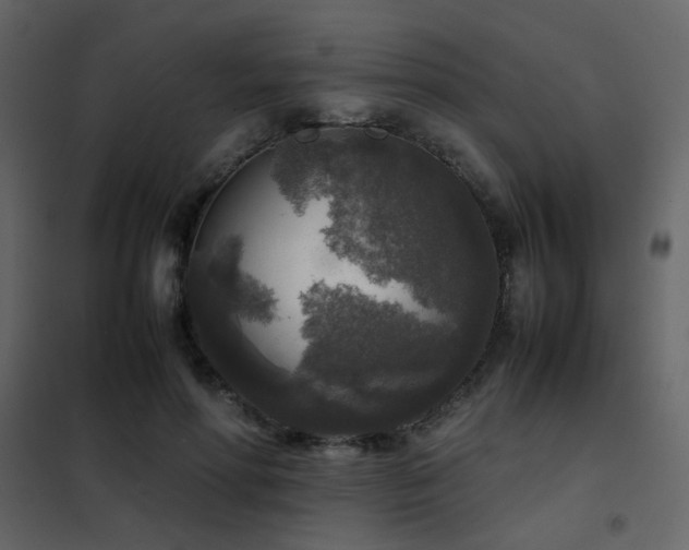 X0000102520598200808081429