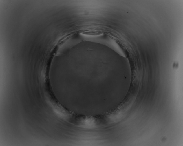 X0000102520600200808081429