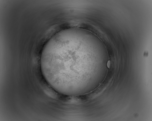 X0000102520601200808081429