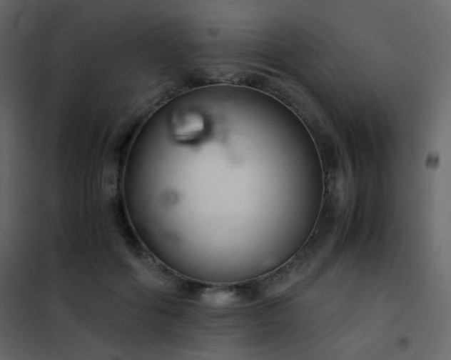 X0000102520602200808081429