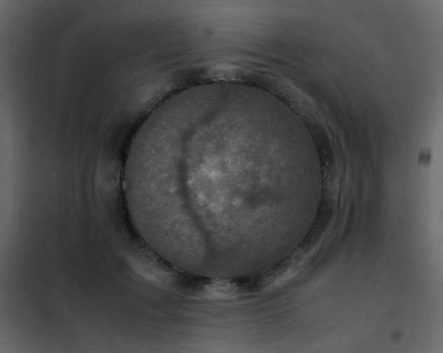 X0000102520603200808081429