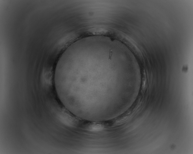 X0000102520604200808081429