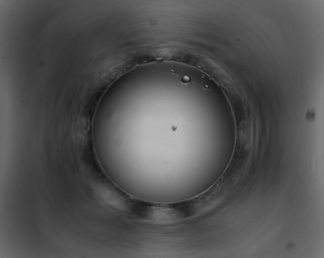 X0000102520605200808081429