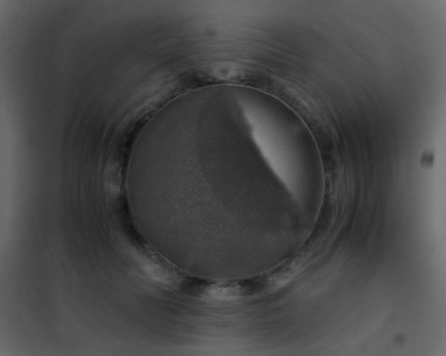 X0000102520606200808081429