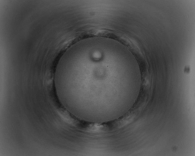 X0000102520607200808081429