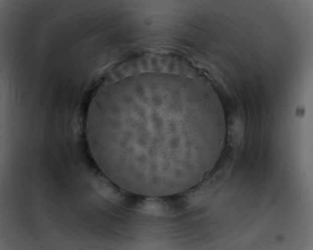 X0000102520608200808081429