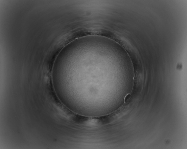 X0000102520609200808081429