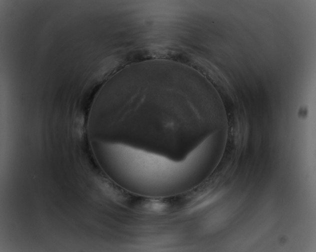 X0000102520610200808081429