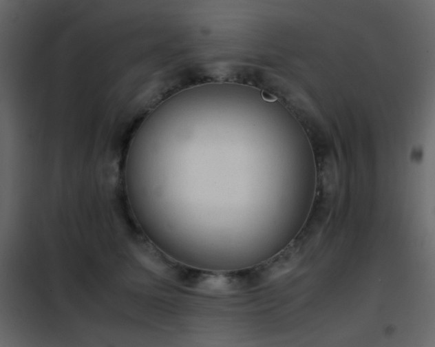 X0000102520611200808081429