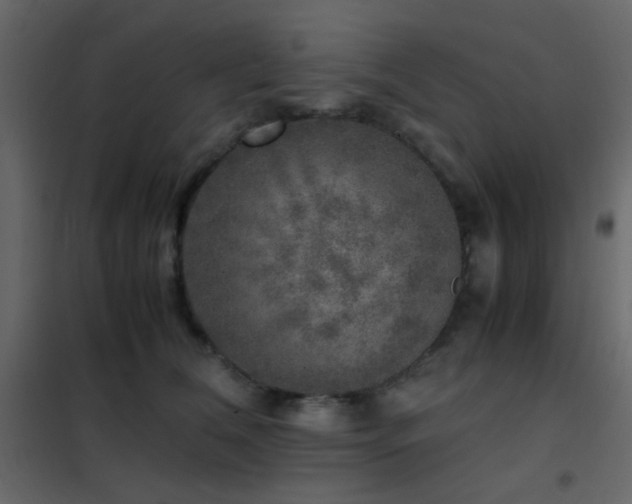 X0000102520612200808081429