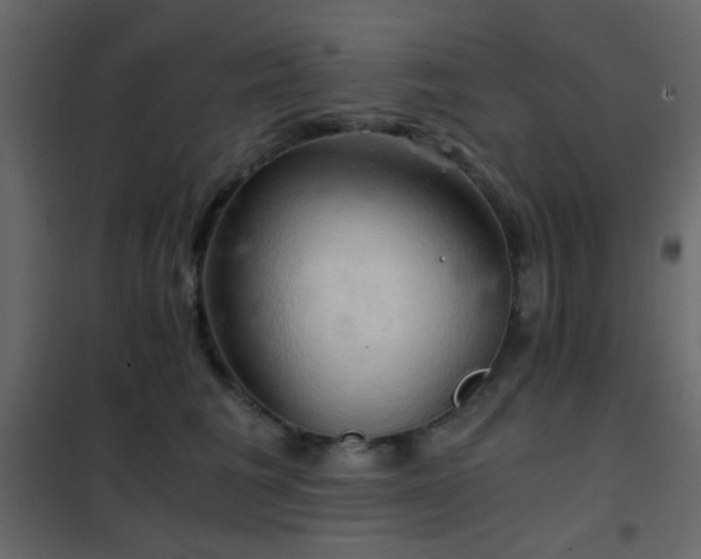 X0000102520613200808081429