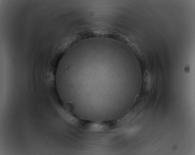 X0000102520614200808081429