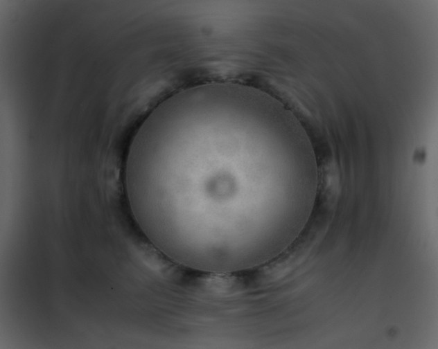 X0000102520615200808081429