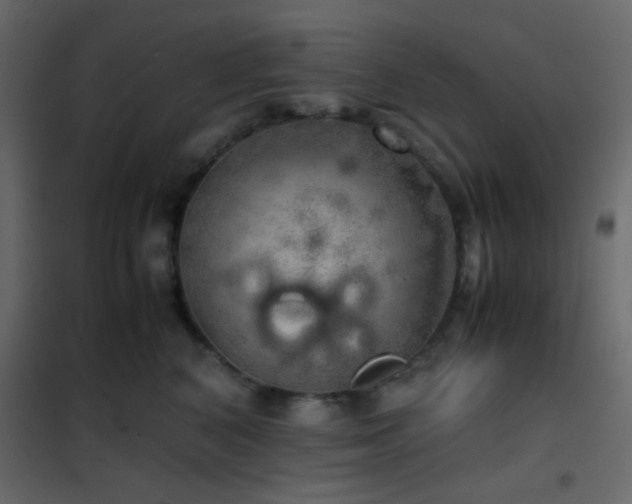 X0000102520616200808081429