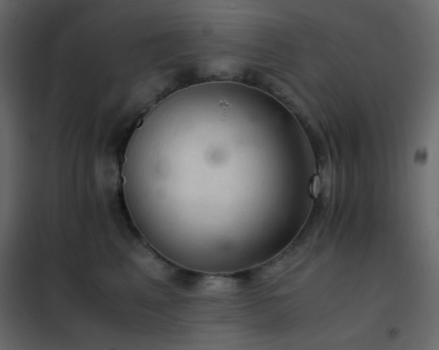 X0000102520617200808081429