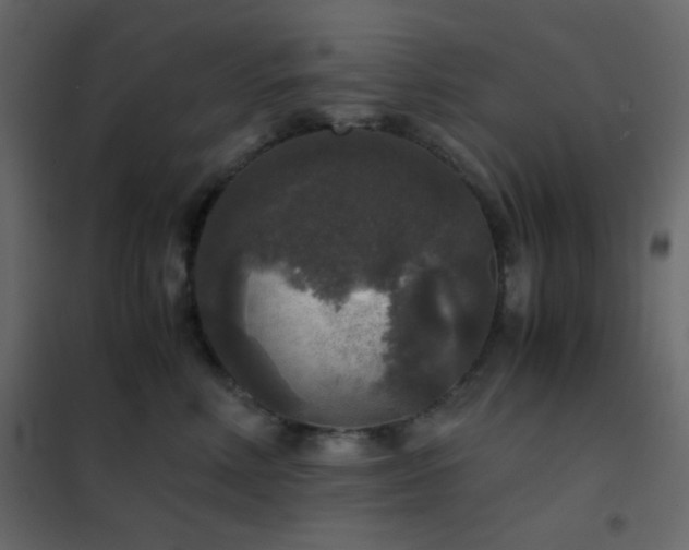 X0000102520618200808081429