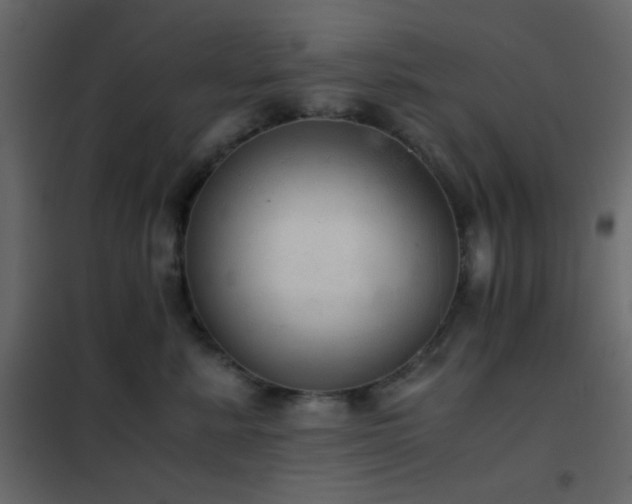 X0000102520619200808081429