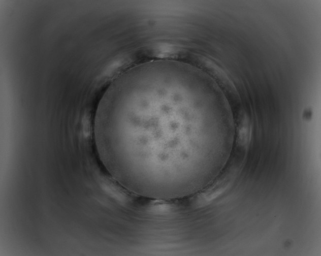 X0000102520620200808081429