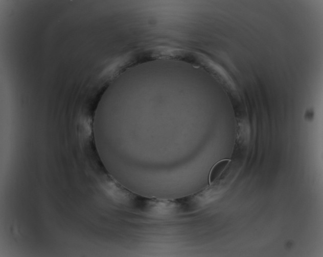 X0000102520621200808081429