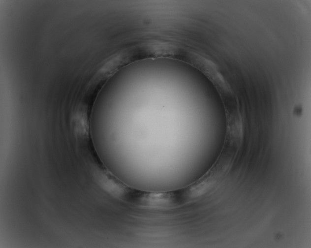 X0000102520622200808081429