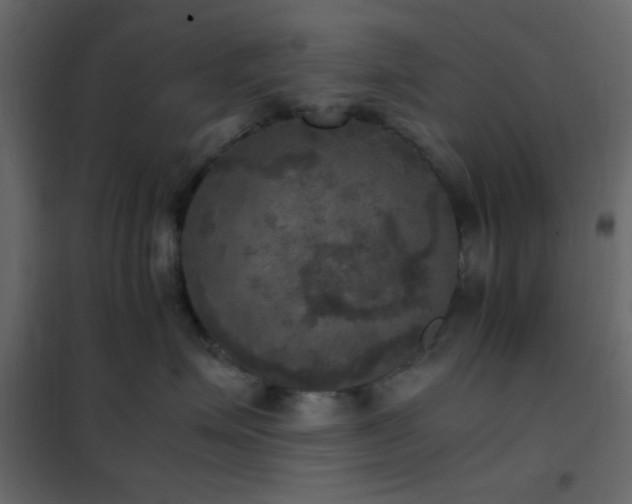 X0000102520623200808081429