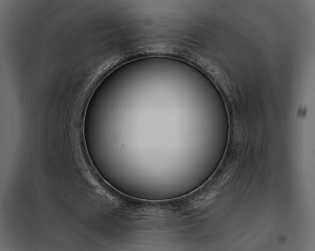 X0000102520625200808081428