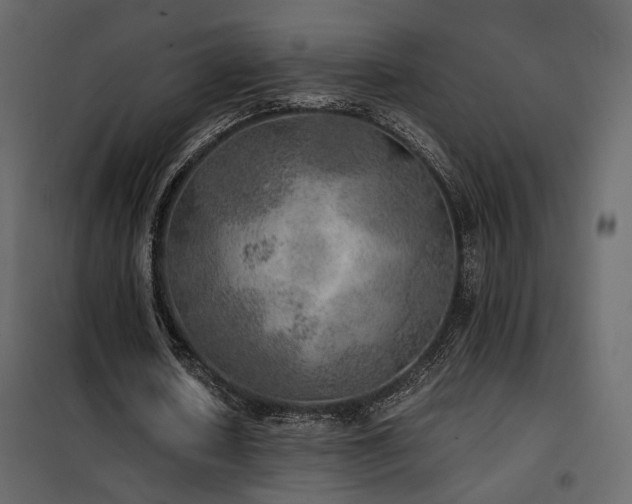 X0000102520626200808081428