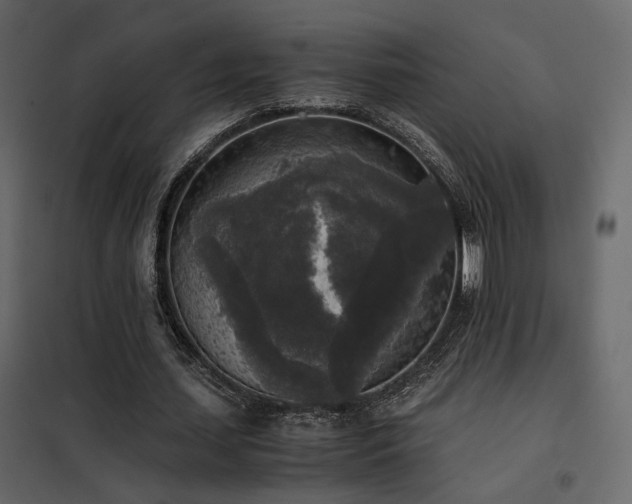 X0000102520627200808081428