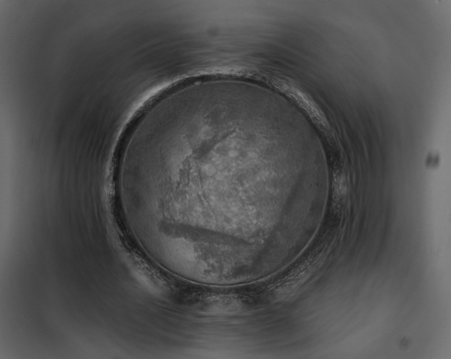 X0000102520628200808081428