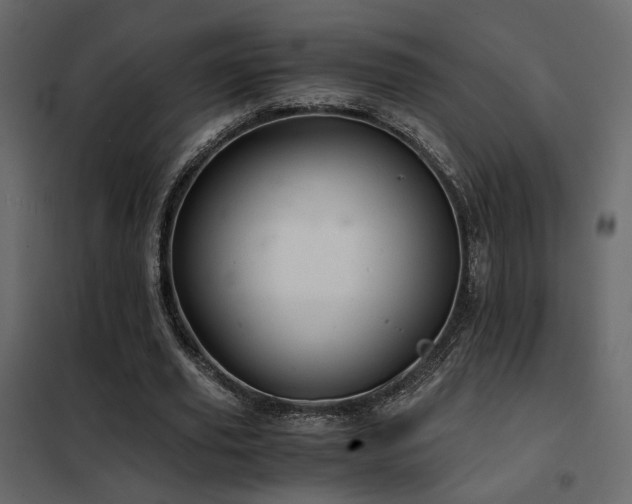 X0000102520629200808081428