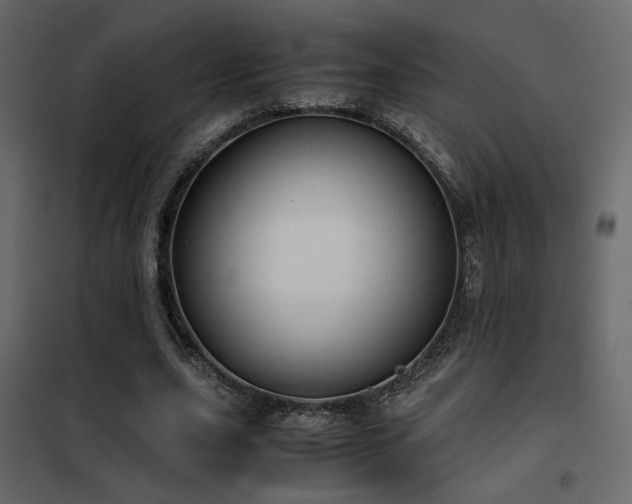 X0000102520631200808081428