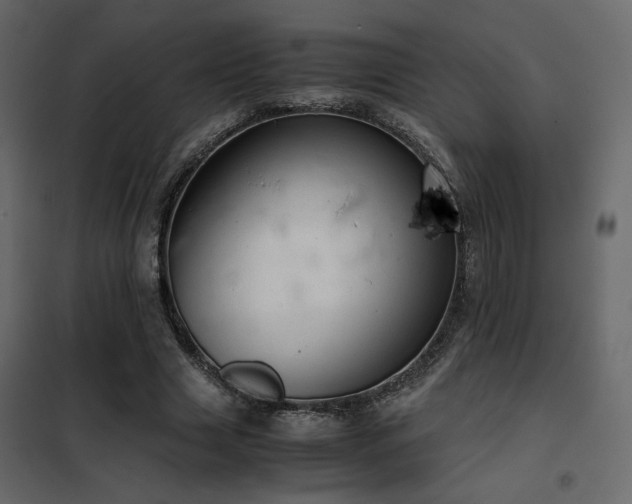 X0000102520633200808081428