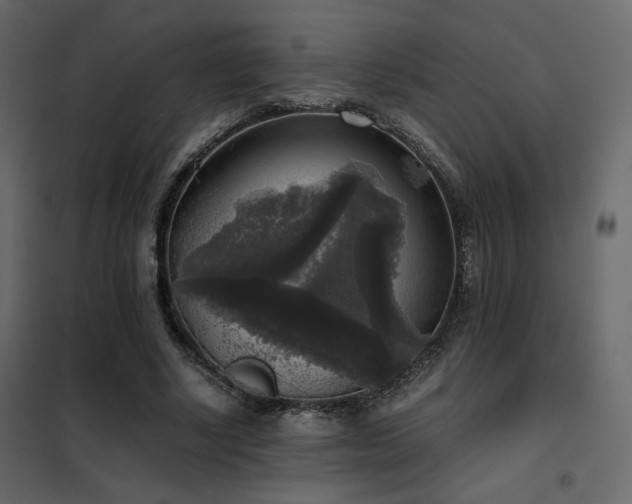 X0000102520634200808081428