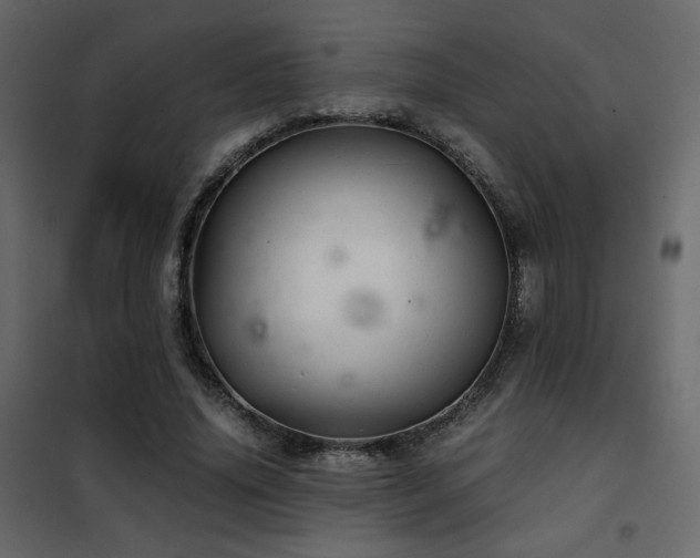 X0000102520636200808081428