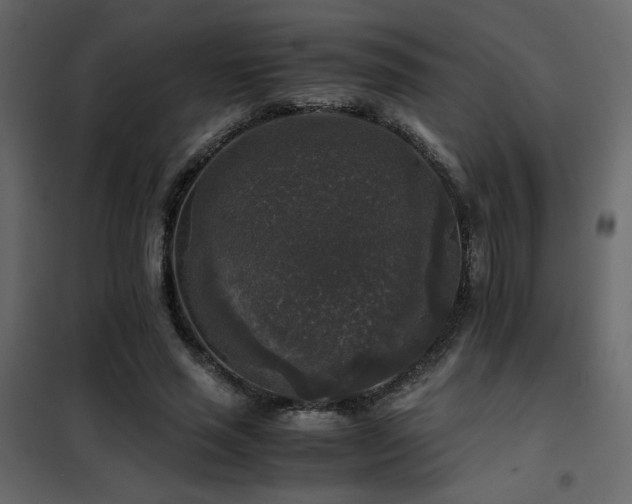 X0000102520637200808081428